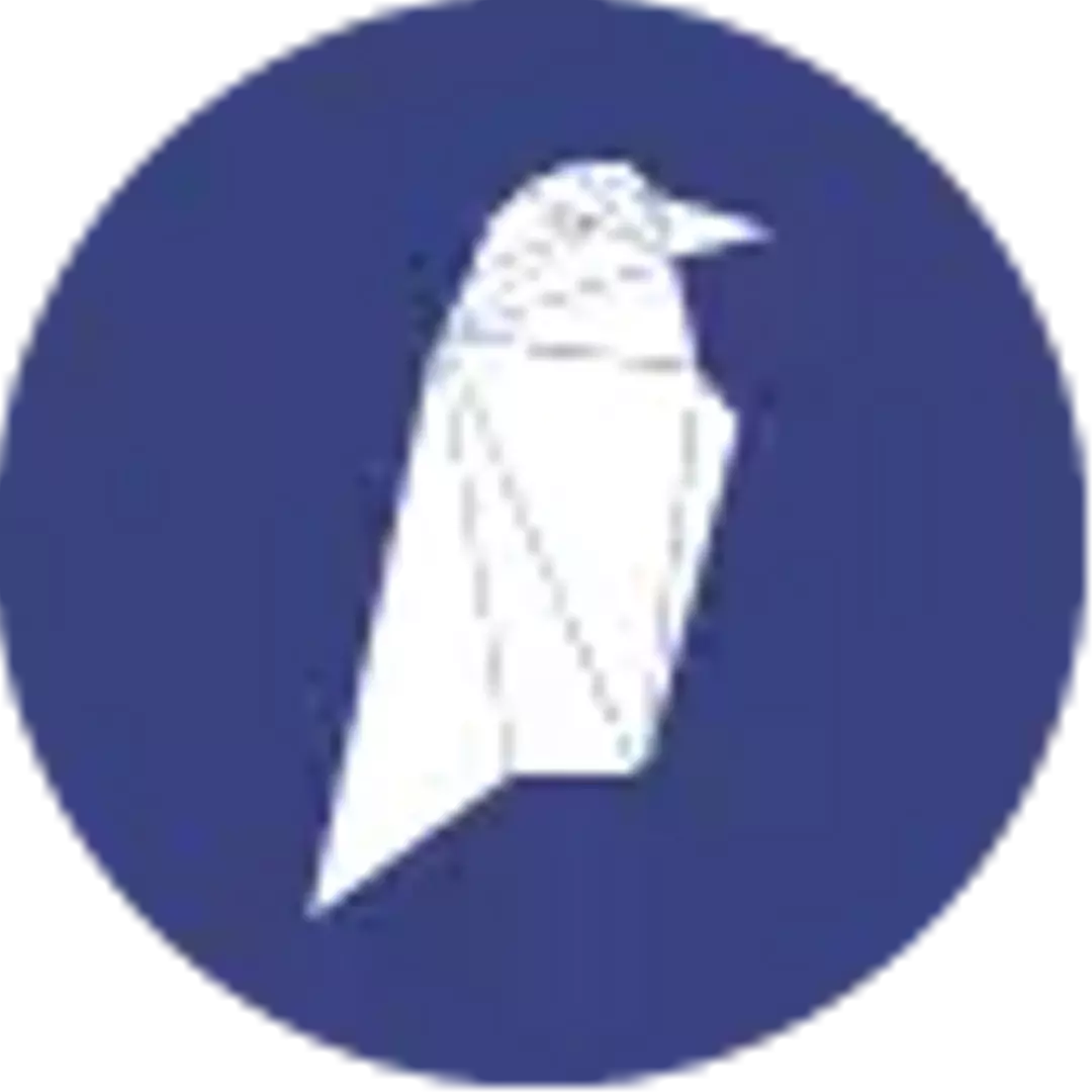 Ravencoin Logo